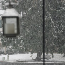 _DSC2576