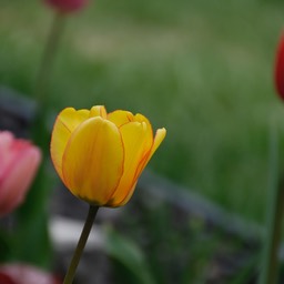 _DSC3031