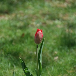 DSC_2977