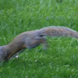 DSC_3040