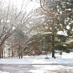 DSCN1575