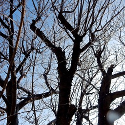 DSCN1576
