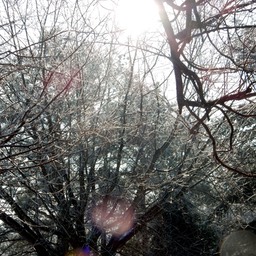 DSCN1577