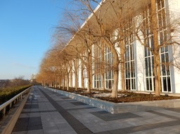 DSCN1647