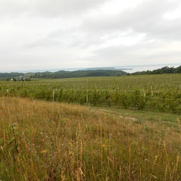 DSCN2079
