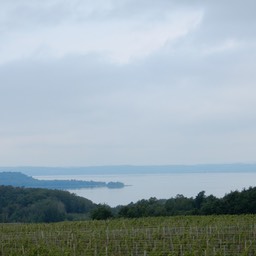 DSCN2081