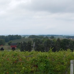 DSCN2101