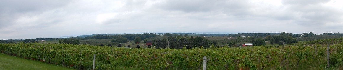 DSCN2101