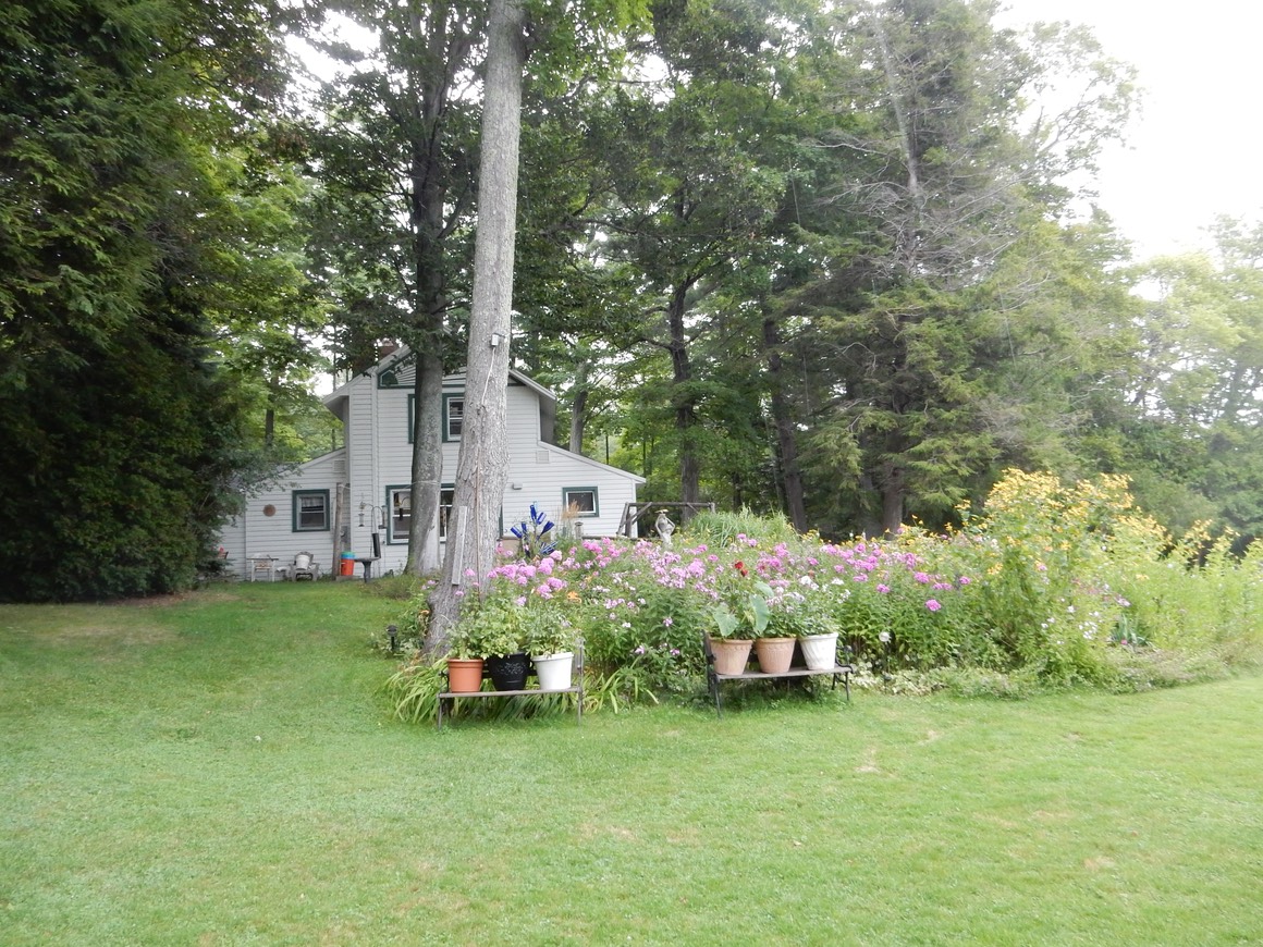 DSCN2146