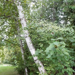 DSCN2178