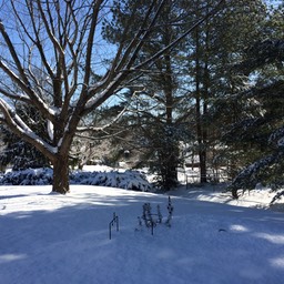 IMG_1211