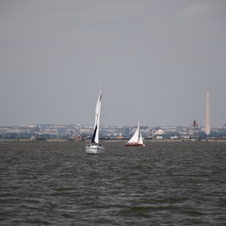 N72_1135