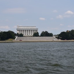 N72_1177