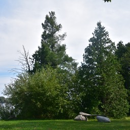 N72_1525