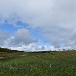 N72_1745