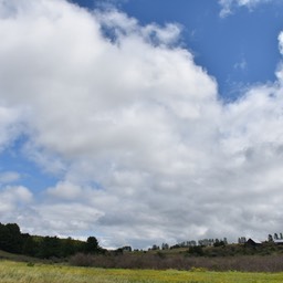 N72_1831