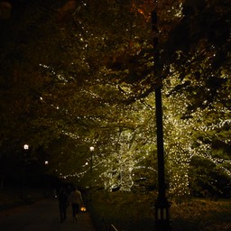 N72_3297