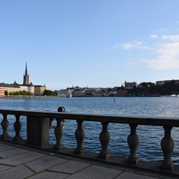_N726503
