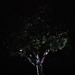 _N727393