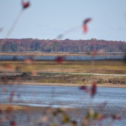 _N727693 (1)