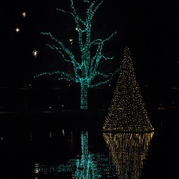_N728029