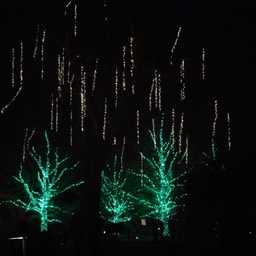 _N728040