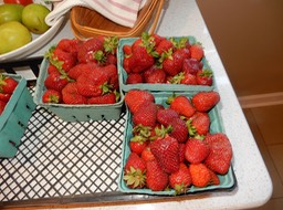 DSCN2453
