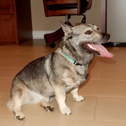 DSCN2523