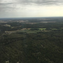 IMG_2424