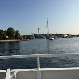 IMG_2441