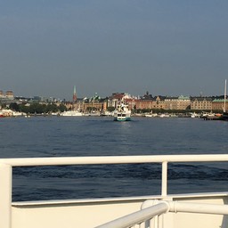 IMG_2444