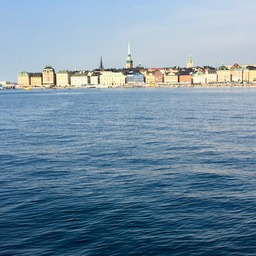 IMG_2447