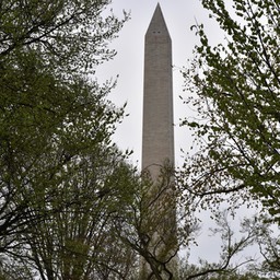 N72_4074