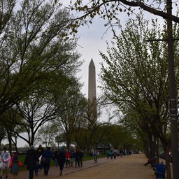 N72_4075