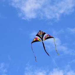 N72_4091