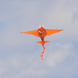 N72_4112