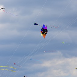 N72_4114