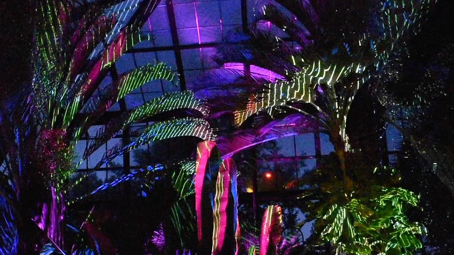 nightscape---longwood-garde-2