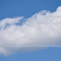 _N720831
