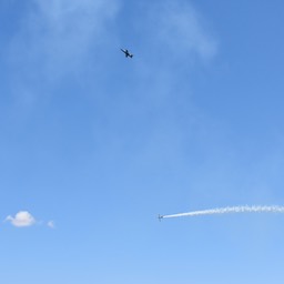 _N720876