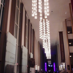 DSCN2610