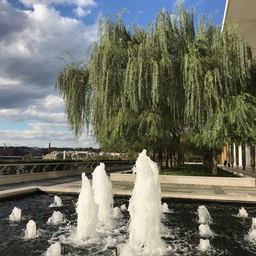 IMG_3919