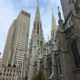 IMG_4229